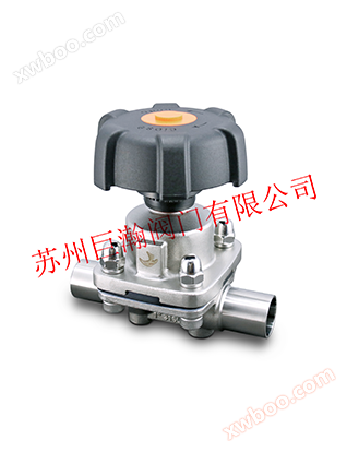 Stainless steel welded interface diaphragm valve